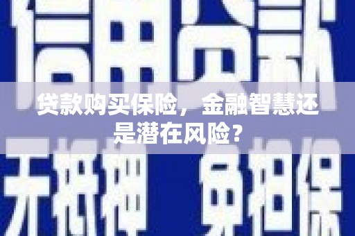 天峨贷款购买保险，金融智慧还是潜在风险？