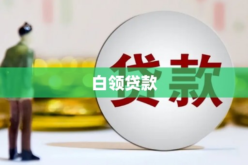 天峨白领贷款