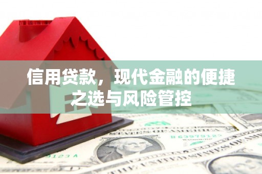 天峨信用贷款，现代金融的便捷之选与风险管控