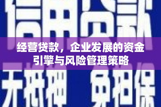 天峨经营贷款，企业发展的资金引擎与风险管理策略