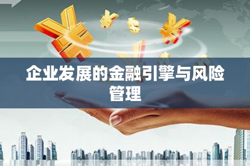 天峨企业发展的金融引擎与风险管理