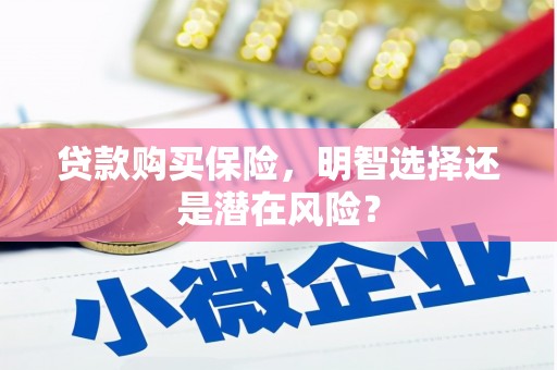 天峨贷款购买保险，明智选择还是潜在风险？