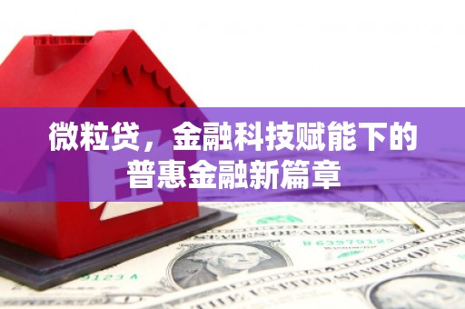 天峨微粒贷，金融科技赋能下的普惠金融新篇章