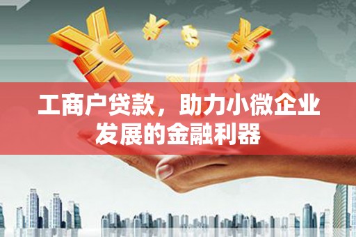 天峨工商户贷款，助力小微企业发展的金融利器