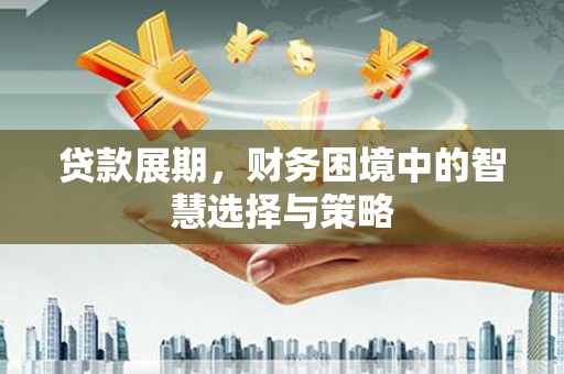 天峨贷款展期，财务困境中的智慧选择与策略
