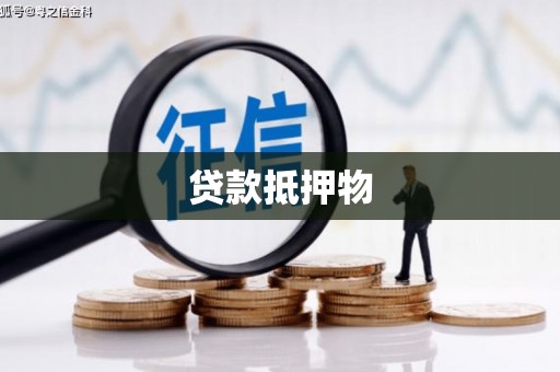 天峨贷款抵押物