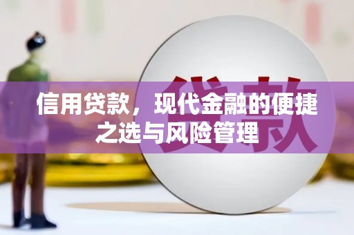 天峨信用贷款，现代金融的便捷之选与风险管理