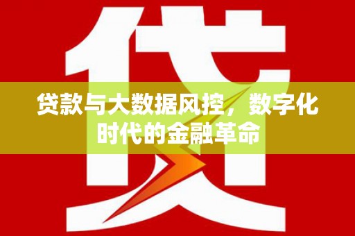 天峨贷款与大数据风控，数字化时代的金融革命