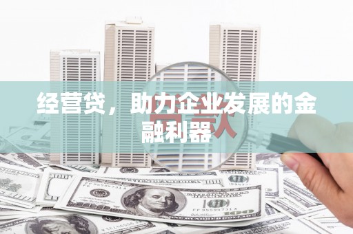 天峨经营贷，助力企业发展的金融利器