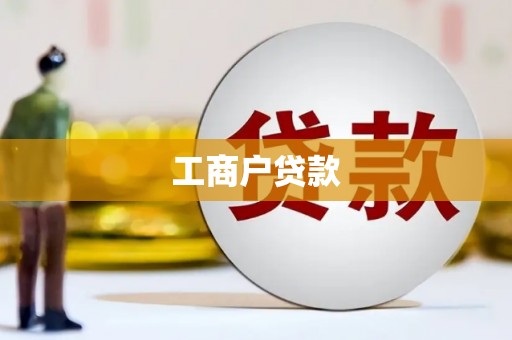 天峨工商户贷款