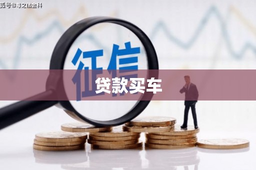 天峨贷款买车