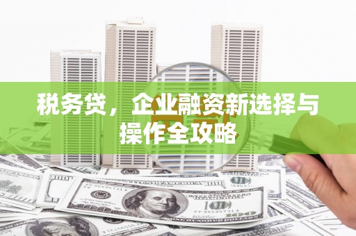 天峨税务贷，企业融资新选择与操作全攻略