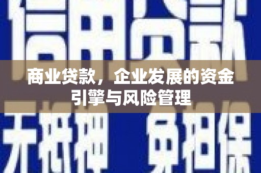 天峨商业贷款，企业发展的资金引擎与风险管理