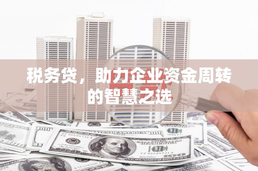 天峨税务贷，助力企业资金周转的智慧之选
