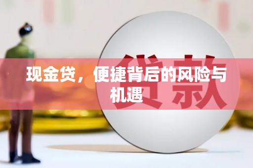 天峨现金贷，便捷背后的风险与机遇