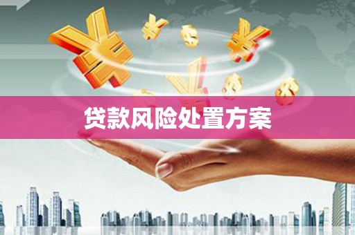 天峨贷款风险处置方案
