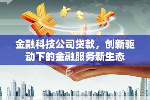 天峨金融科技公司贷款，创新驱动下的金融服务新生态