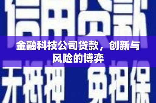 天峨金融科技公司贷款，创新与风险的博弈
