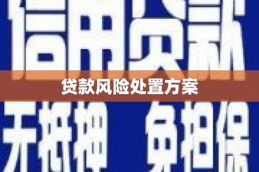 天峨贷款风险处置方案