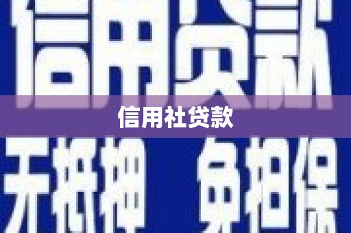 天峨信用社贷款