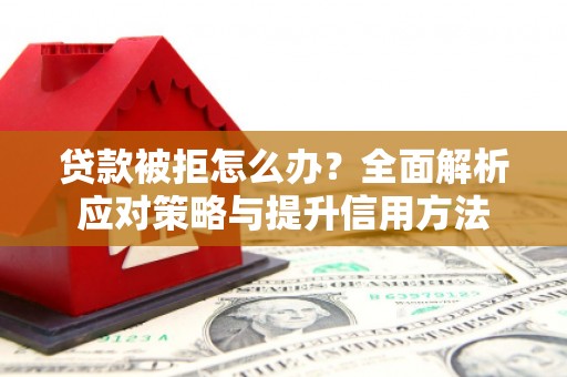 天峨贷款被拒怎么办？全面解析应对策略与提升信用方法