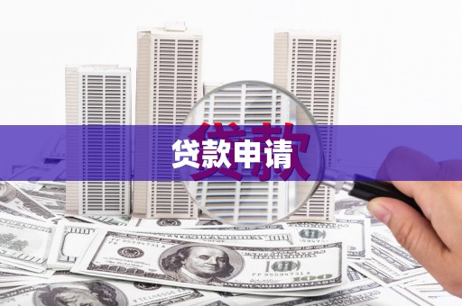 天峨贷款申请