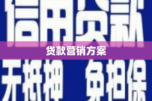 天峨贷款营销方案