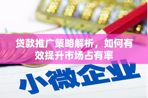 天峨贷款推广策略解析，如何有效提升市场占有率