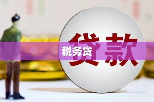 天峨税务贷