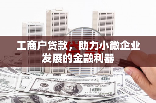 天峨工商户贷款，助力小微企业发展的金融利器