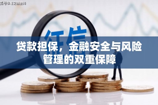 天峨贷款担保，金融安全与风险管理的双重保障