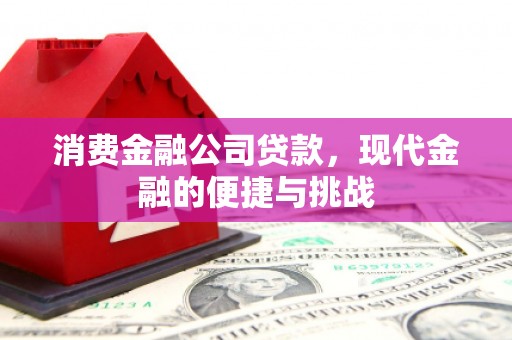 天峨消费金融公司贷款，现代金融的便捷与挑战
