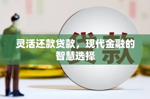 天峨灵活还款贷款，现代金融的智慧选择