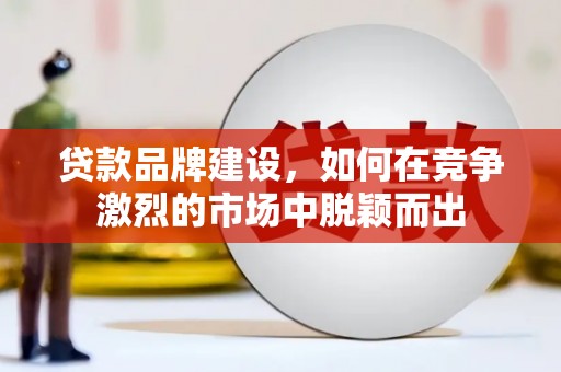 天峨贷款品牌建设，如何在竞争激烈的市场中脱颖而出