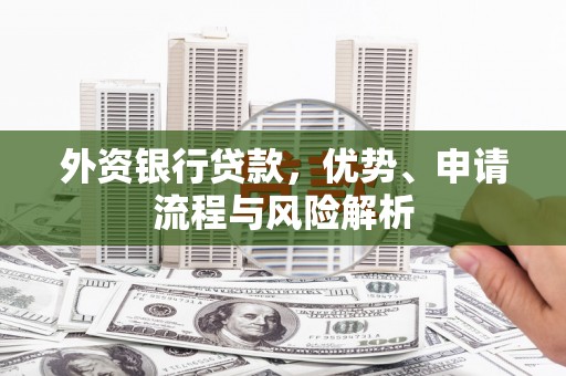 天峨外资银行贷款，优势、申请流程与风险解析