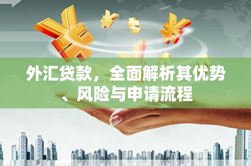 天峨外汇贷款，全面解析其优势、风险与申请流程