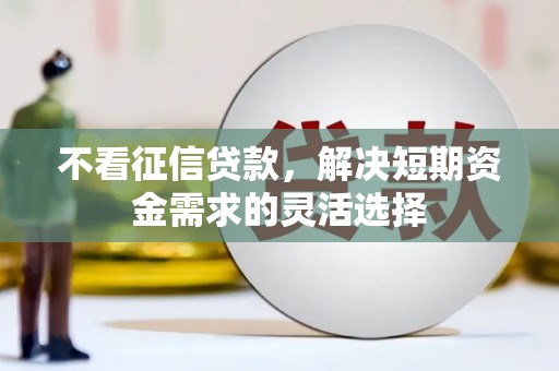 天峨不看征信贷款，解决短期资金需求的灵活选择