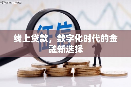 天峨线上贷款，数字化时代的金融新选择