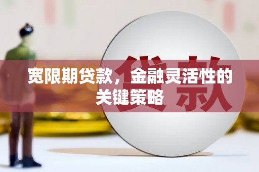 天峨宽限期贷款，金融灵活性的关键策略