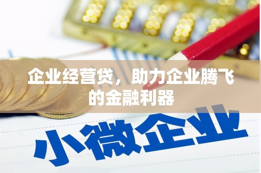 天峨企业经营贷，助力企业腾飞的金融利器
