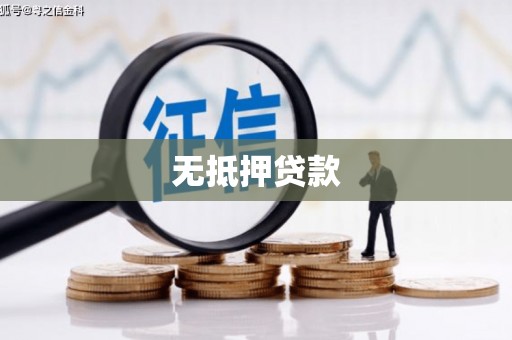 天峨无抵押贷款