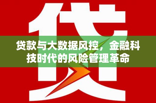 天峨贷款与大数据风控，金融科技时代的风险管理革命