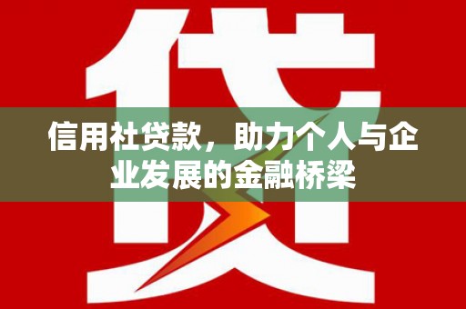 天峨信用社贷款，助力个人与企业发展的金融桥梁