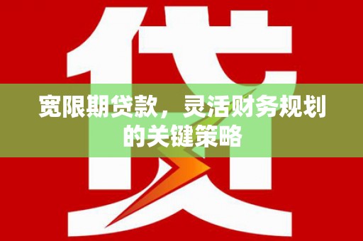 天峨宽限期贷款，灵活财务规划的关键策略