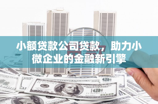 天峨小额贷款公司贷款，助力小微企业的金融新引擎