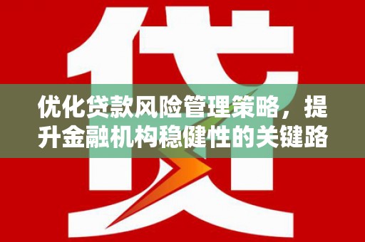 天峨优化贷款风险管理策略，提升金融机构稳健性的关键路径