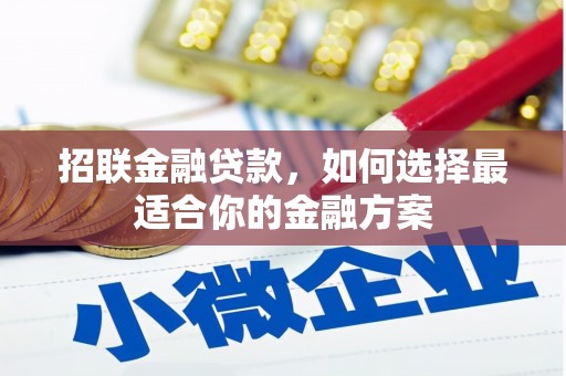 天峨招联金融贷款，如何选择最适合你的金融方案