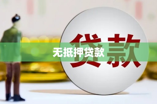 天峨无抵押贷款