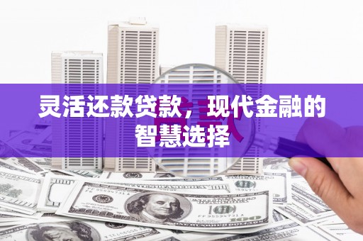 天峨灵活还款贷款，现代金融的智慧选择