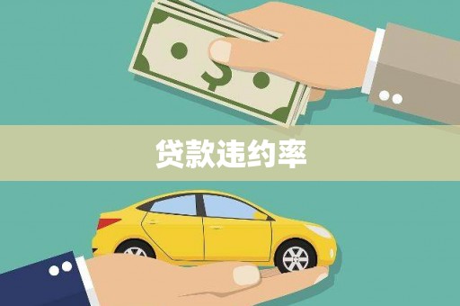天峨贷款违约率